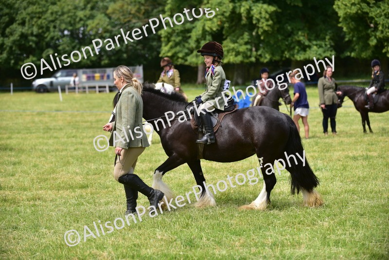 20260614-3661 - Class 15 - Prettiest Mare