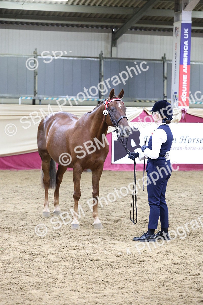 SBM_20451 - Class F - IH Small (148cm & Under)Champ