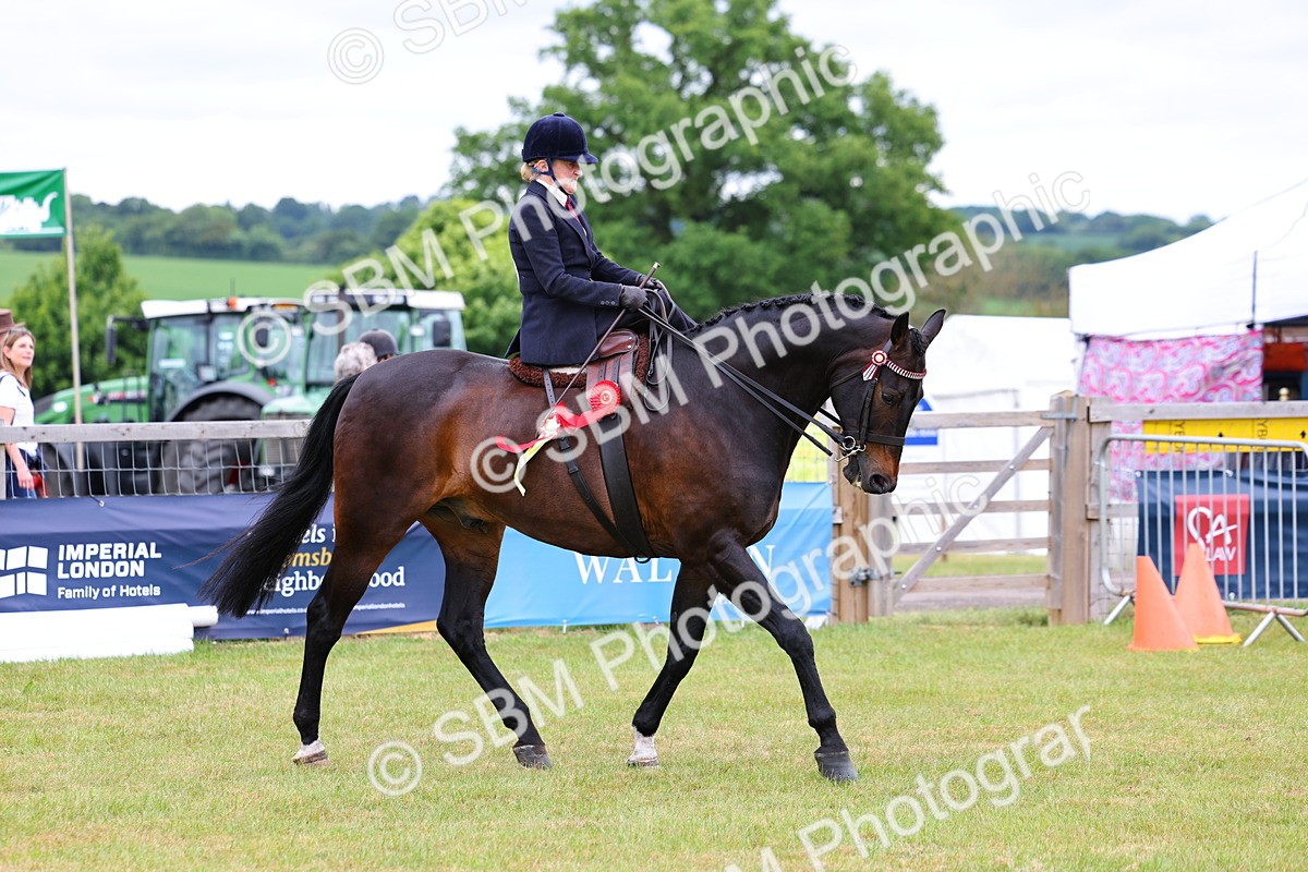 SBM_02865 - Class 9-11 Side Saddle including LIHS Rising Star Ladies Show Horse