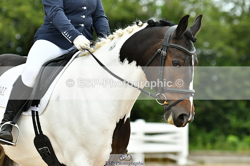 230701A-115249-05331 - Cls 5 Novice 37A