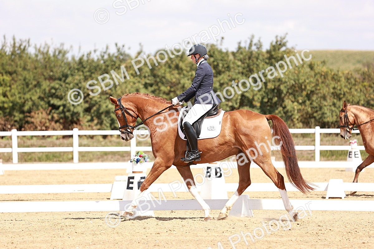 SBM_018437 - Class 17 - Novice 6