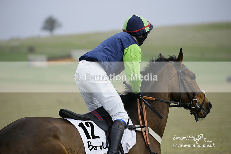 PtP 200222 298 - Countryside Alliance PtP Badbury Rings 20/02/22