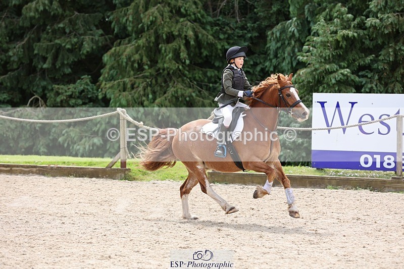 240616-111711-03429 - 60cm