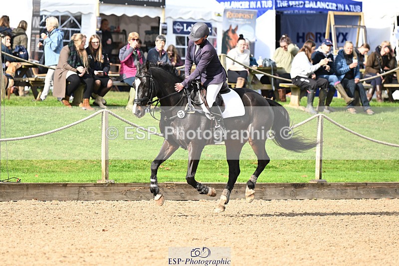 241025-125151-07782 - 235-Sam.Jennings-BILLY.ENERGETIC