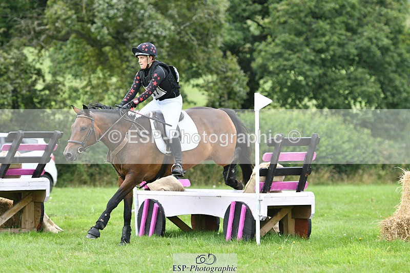 240804-145734-15186 - 557-Jodi_Cameron-WILLOWAY_HANDSOME_HARRY