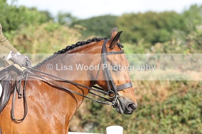 JPP_0621 - Class 16: Cornish Combination Young Rider