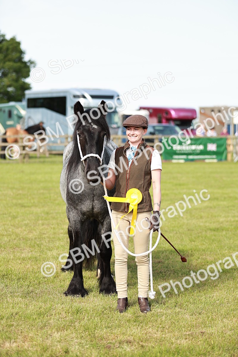SBM_00768 - Class 14-23 - Mountain & Moorland In Hand Non Welsh