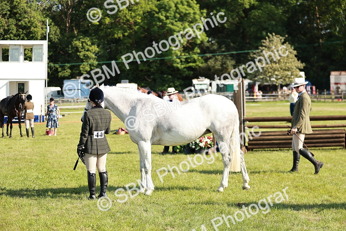 SBM_19313 - Class 115-116 - LIHS BSHA Rising Star Working Hunter & Show Horse