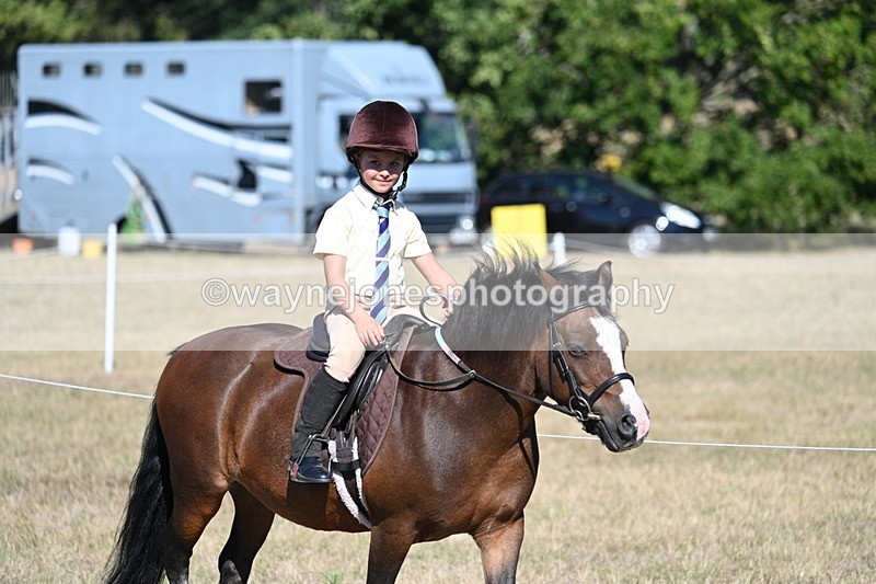 WJ7_2041 - Class 44 Child's Best Friend