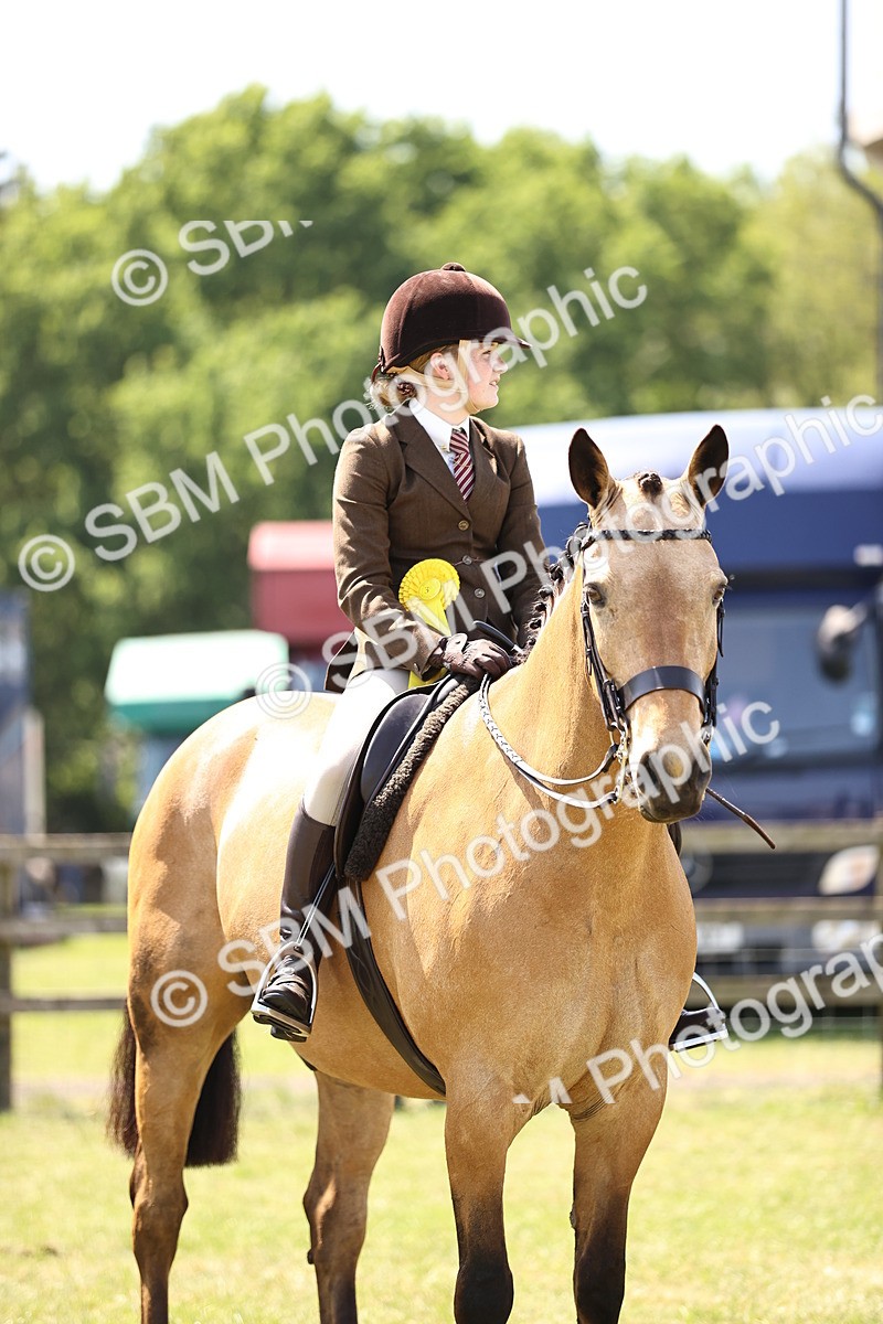 SBM_15244 - Class 79-80 - LIHS BSHA Rising Star Ridden Hunter