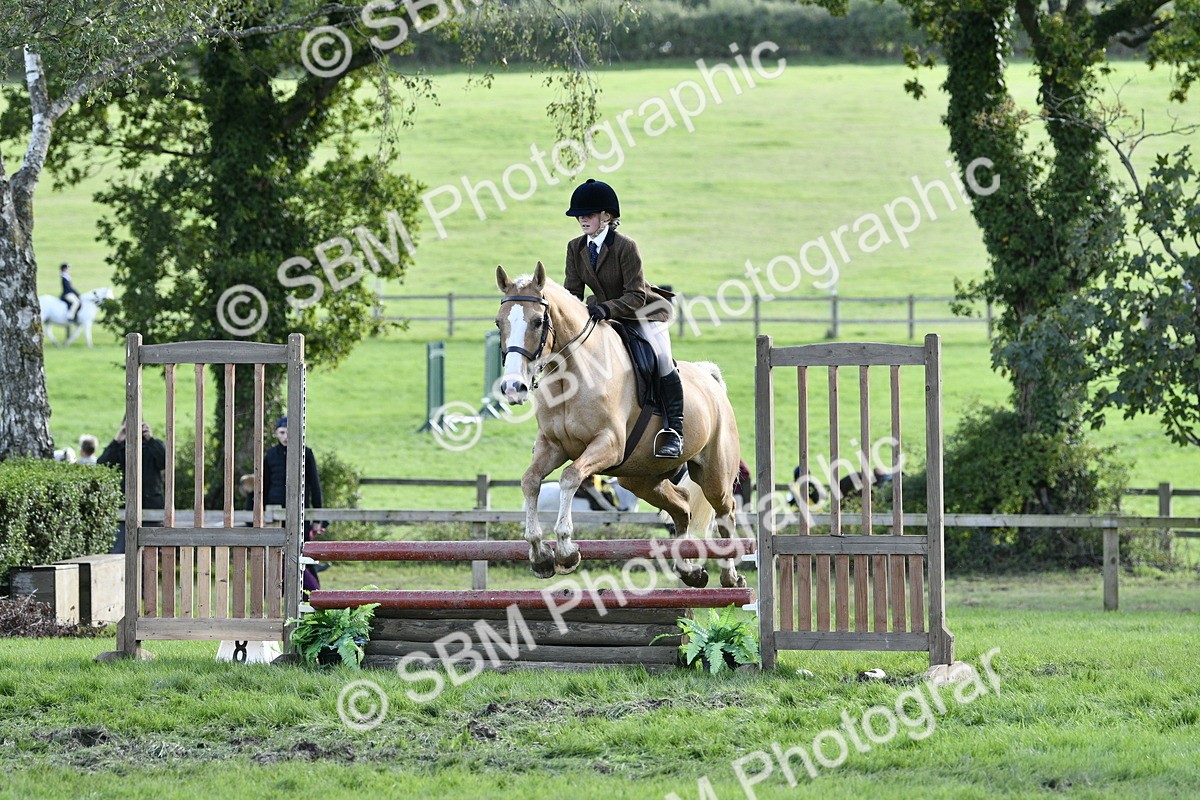 SBM_49958 - S34 - Novice & Newcomers Working Hunter