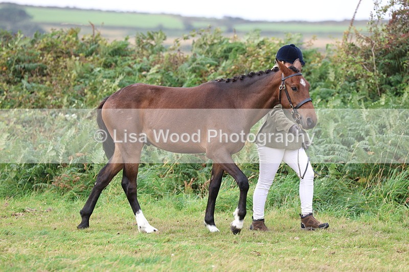 3E7A4034 - Class 15: Two Year Olds