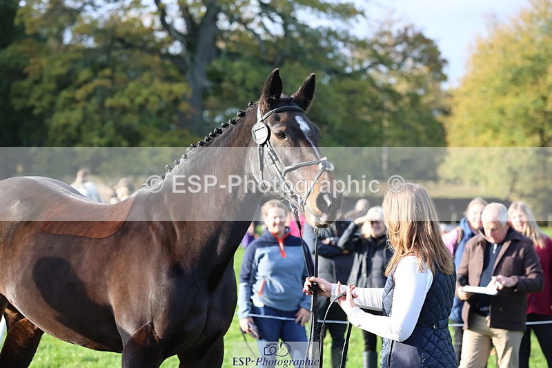 251026A-095404-22565 - D-350-Katie.Timberlake