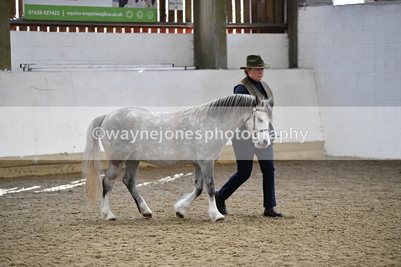 WJ5_5401 - Class 4 In hand M&M - small breeds