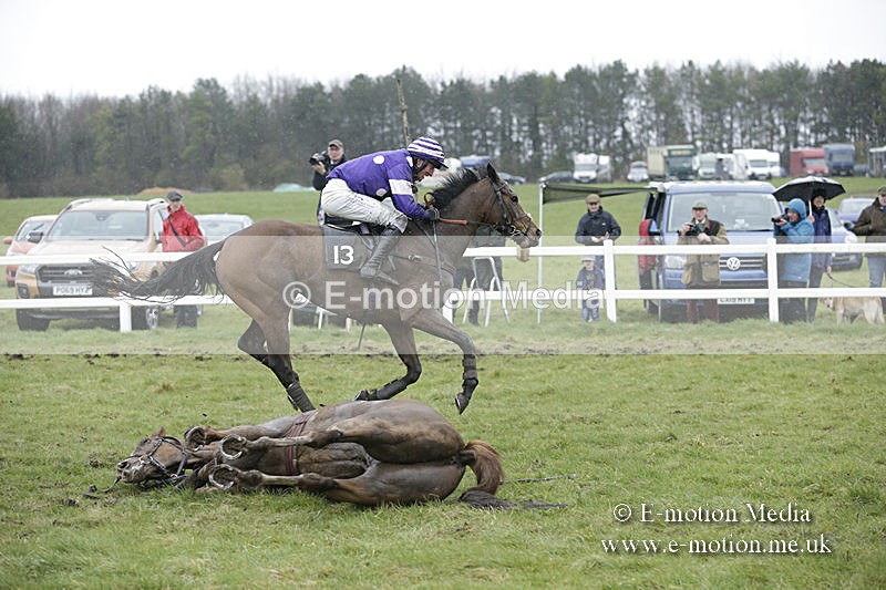 PtP 150320 0364 - New Forest Point-to-Point Larkhill 15/03/20