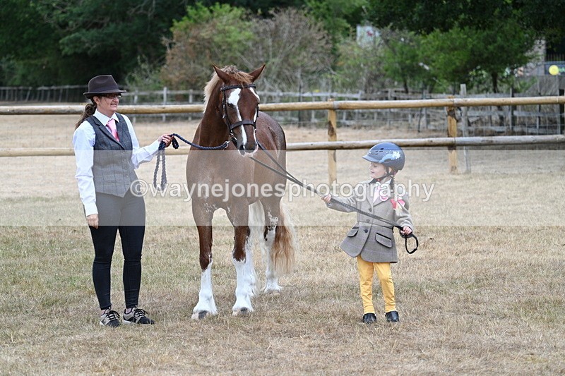 WJ7_8179 - Class 4 Prettiest Mare up to 14.2hh