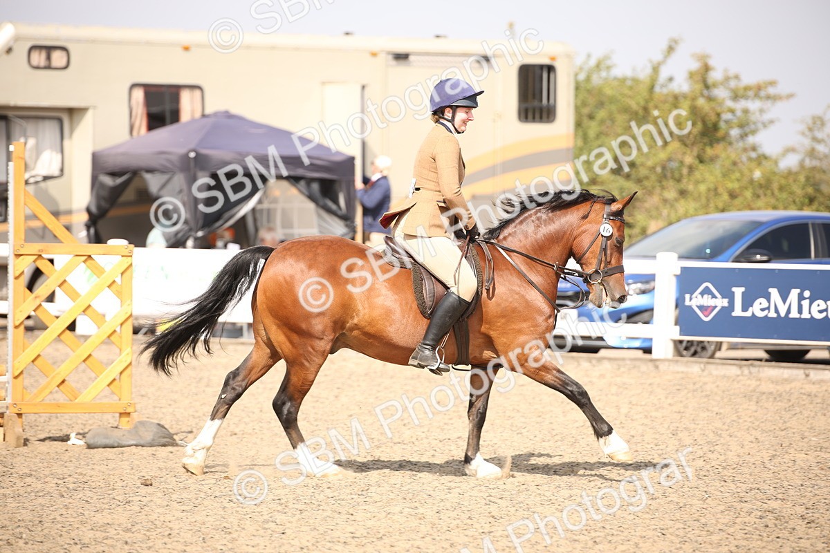 SBM_14177 - Class 407a - Working Veteran 60cm (15-19