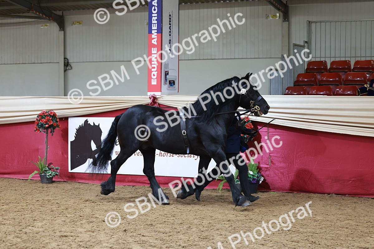 SBM_17410 - Class 951 - M&M IH Supreme Final