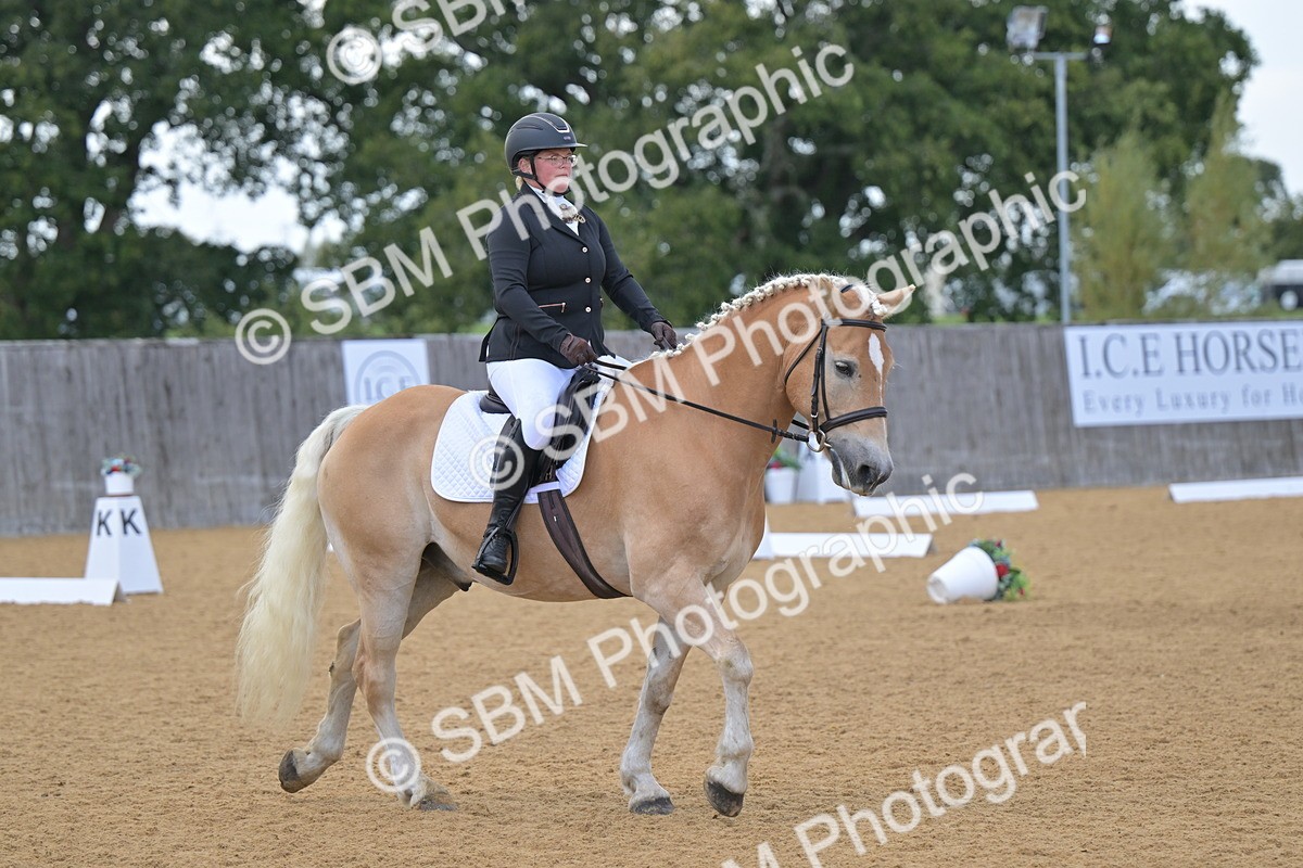 SBM_11145 - D3 - Small Tour Championship Intro 3