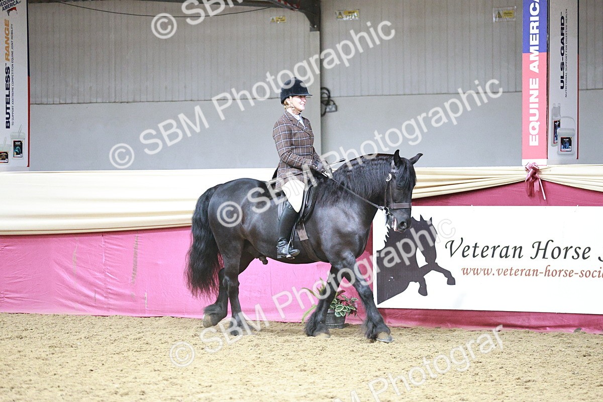SBM_08726 - Class 12R - Regional Ridden Pre-Vet