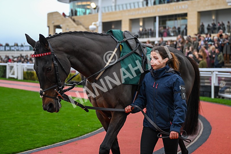 151125-Race 5-Gowel Roa-3528 - Race 5