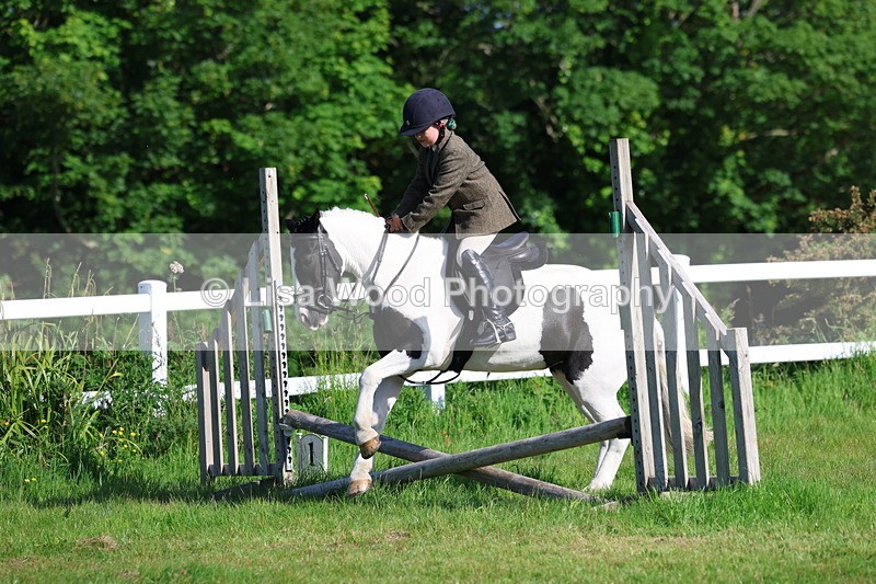 3E7A5880 - Class 27: Novice Working Hunter Pony
