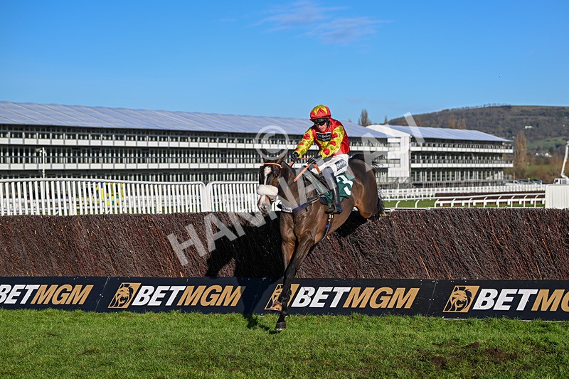 141224-Race 2-Destroytheevidence-1513 - Race 2