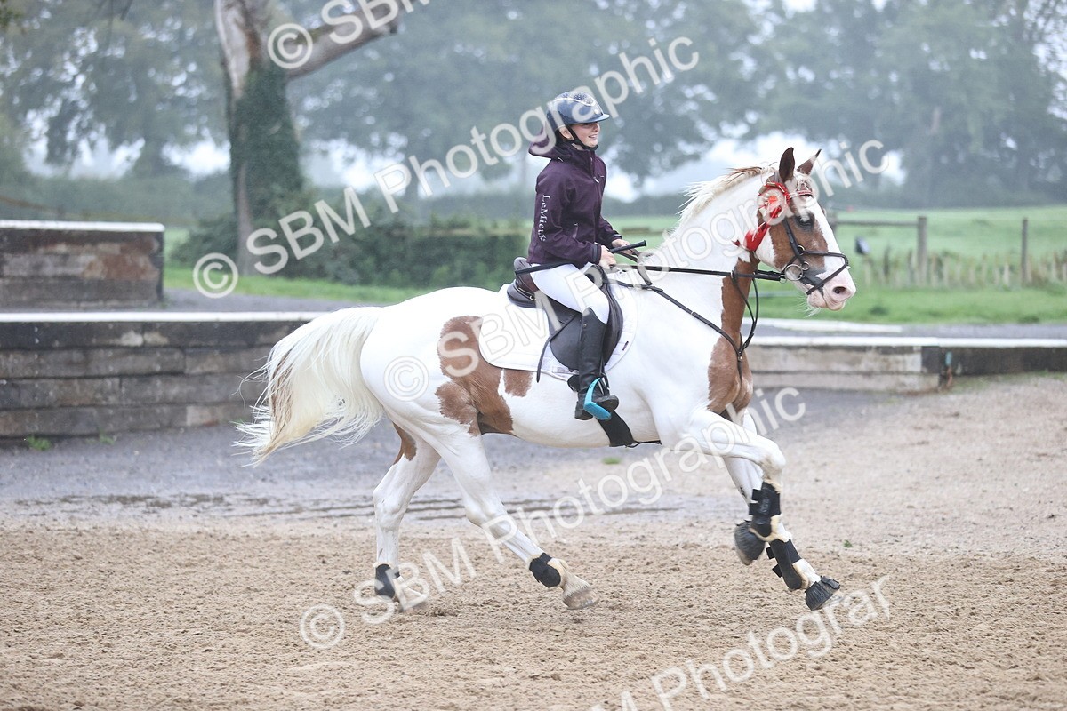 SBM_73659 - J19 - Junior Horse & Pony 90cm Supreme championship