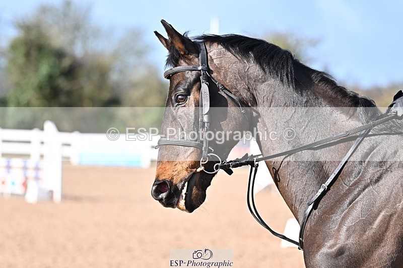 260311-100742-00017 - Cls 0+1 Clear Round, British Novice and 90cm