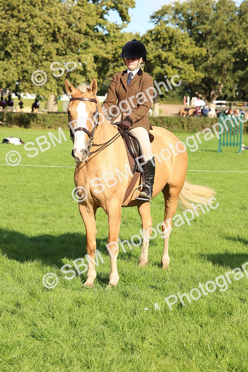 SBM_50167 - S34 - Novice & Newcomers Working Hunter