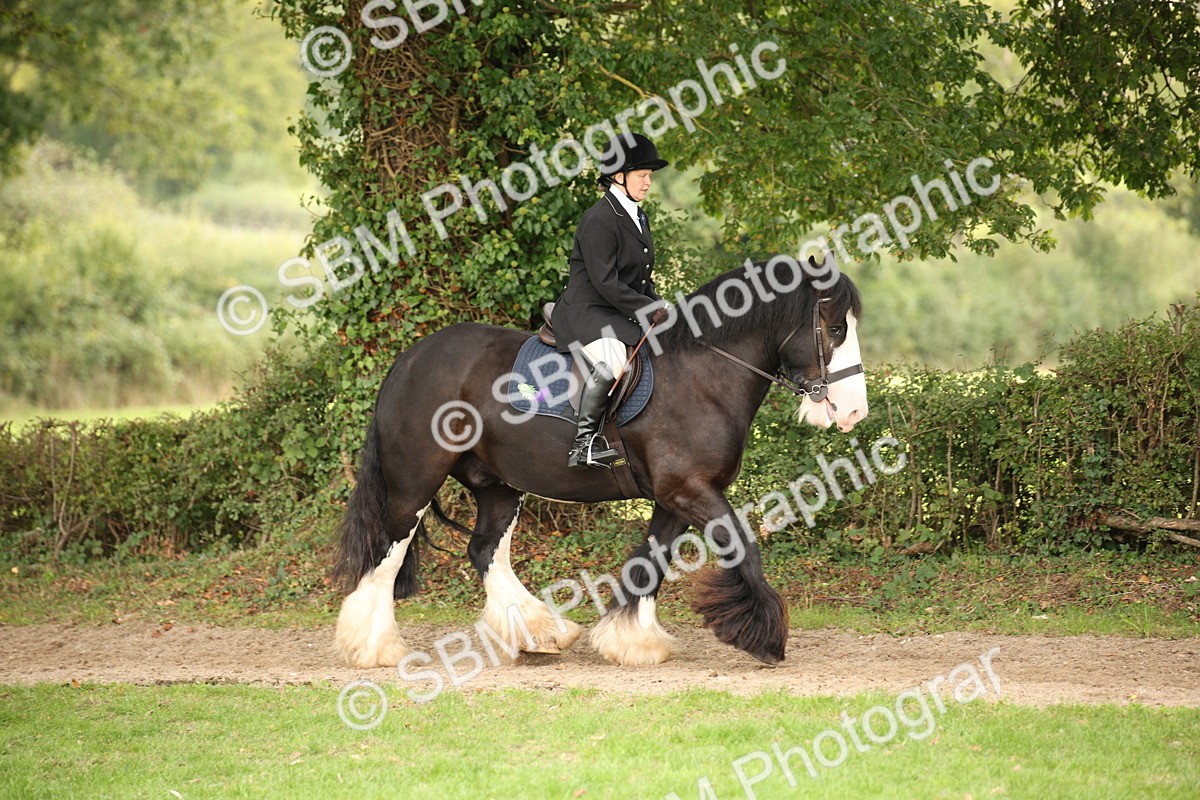 SBM_73435 - S68 - Traditional Cob Ridden