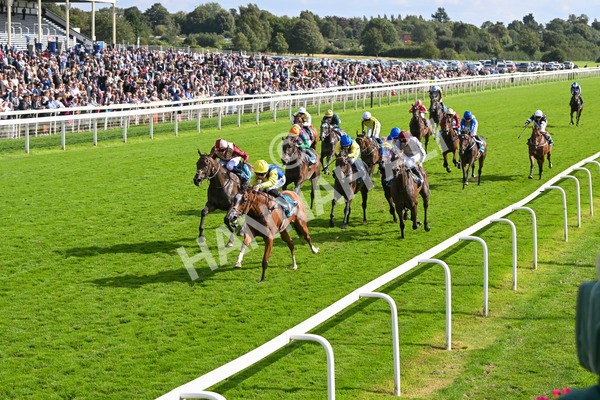 230824-Race 5-Canoodled-9735 - Race 5 4.10pm Assured Data Protection EBF Fillies' Handicap