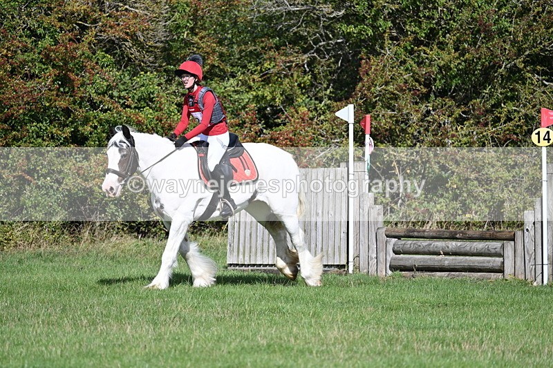 WJ7_8906 - Time 11:10 to 11:53