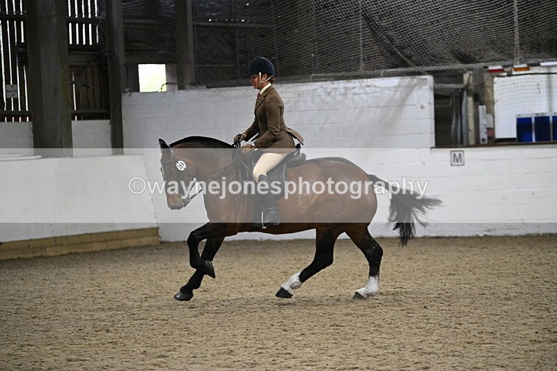 WJ7_4025 - Class 17 Ridden Cob