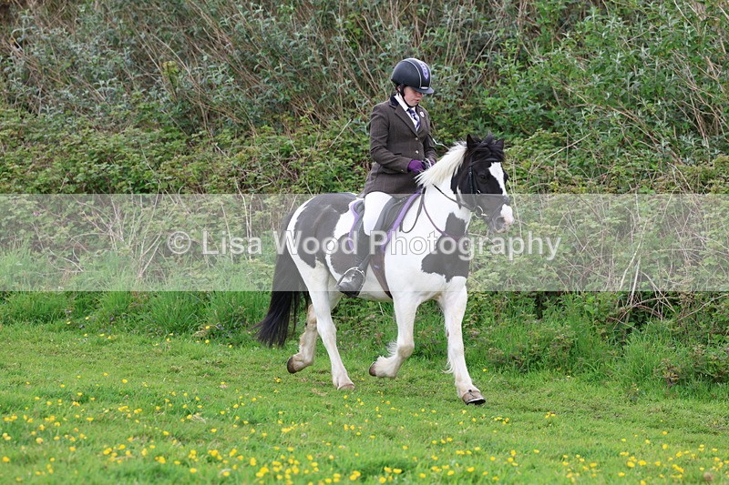 3E7A1498 - Class 8: Ridden Veteran Junoir and Senior