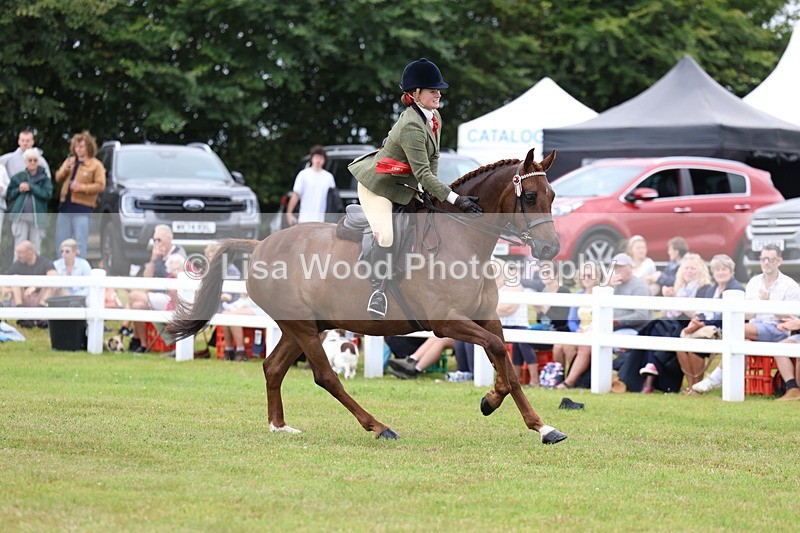 3E7A1277 - Class 8: Open Riding Horse/Hack