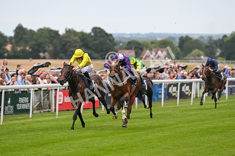 290725-Race 3-Ancient Egypt-0105 - Race 3