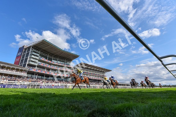 220825-Race 5-Cape Flora-9470 - Race 5 4.10pm Assured Data Protection EBF Fillies' Handicap