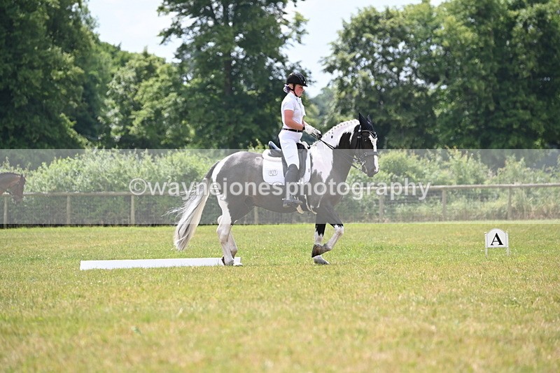 WJ6_6827 - Time 11:48 to 12:22