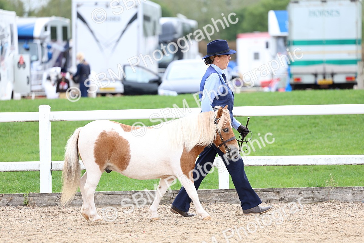 SBM_05812 - Class 29 - IH Veteran Pony