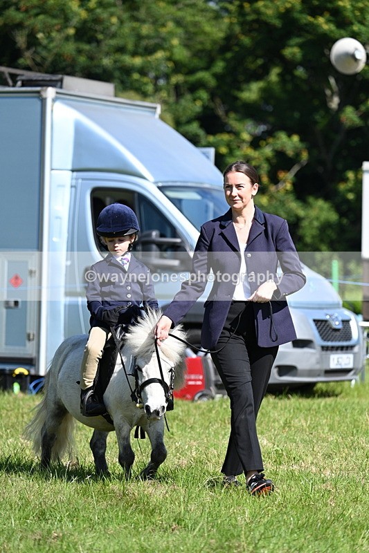 WJ7_0710 - Class 8 First Rally Pony
