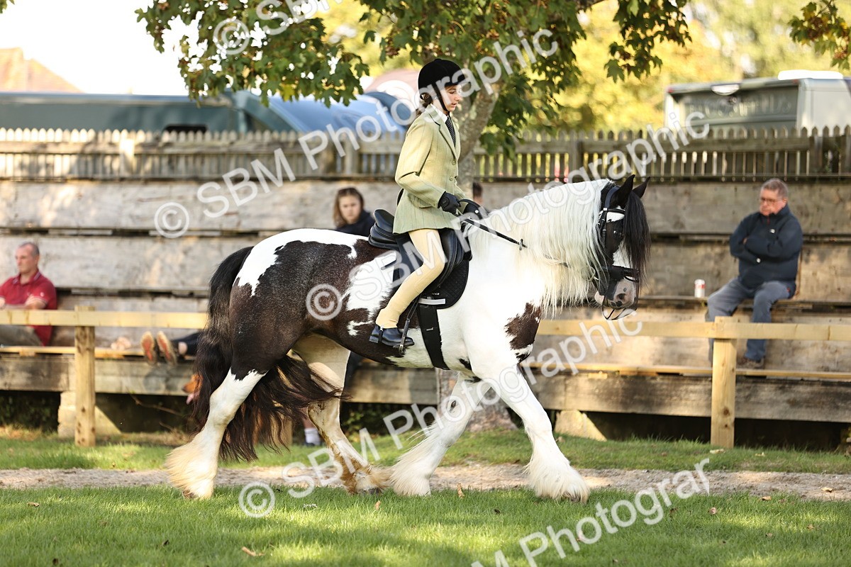 SBM_26442 - S6 - Novice & Newcomers Ridden Horse