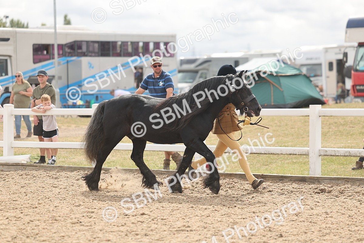 SBM_04929 - Class 20 - IH Veteran