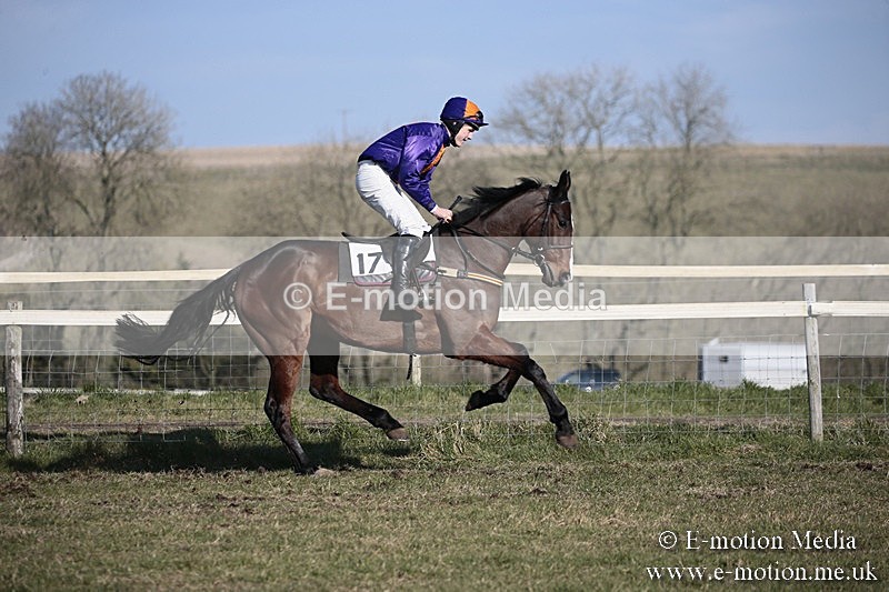 PtP 240218 336 - Vine & Craven Hunt Point-to-Point Barbury racecourse 24/02/18
