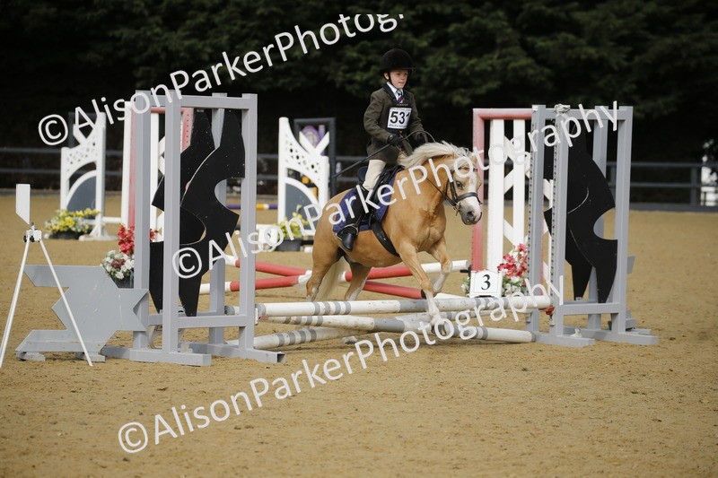 20250622-1544 - 40cm