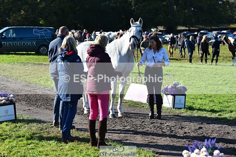 231022-110648-23732 - 437-DONBEG.GREY-Hannah.Underhill-TrotUp+SJ