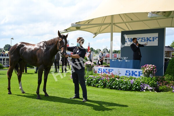 yr11062021r3-57 - Race 3 2.55pm SKF Rous Selling Stakes