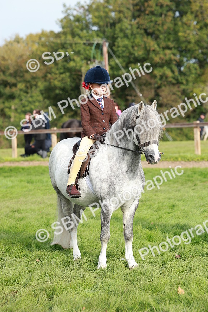 SBM_56436 - S39 - Starters In Hand Showing
