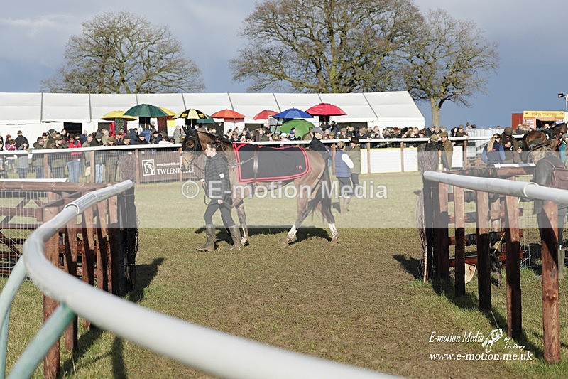 PtP 180323 1362 - Shelfield Park Races with Croome & West Warwickshire Hunt  18/03/23