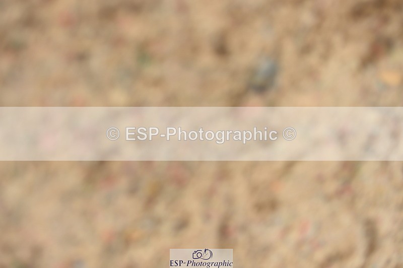 230916A-143544-04571 - Cls 24 1.05m Amateur Qualifier